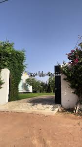 منتجع الزعفران - زراعة الشعر في الرياض