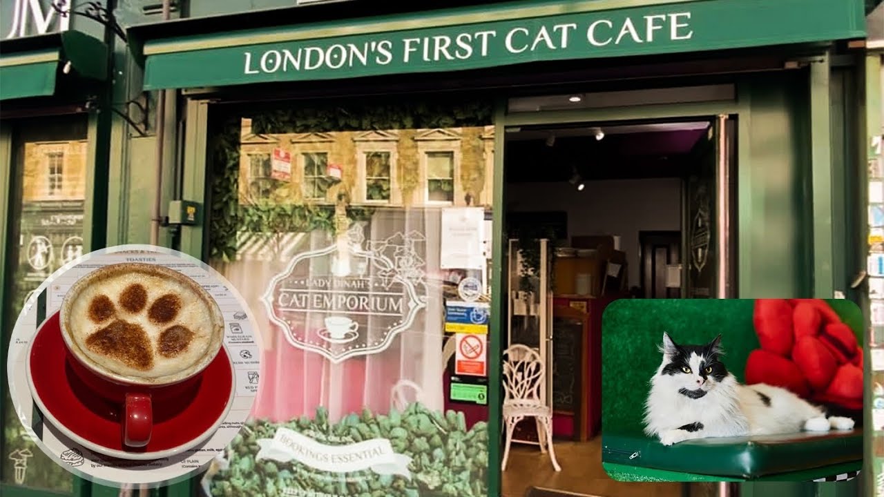 مقهى لندن - كافيهات في واسط