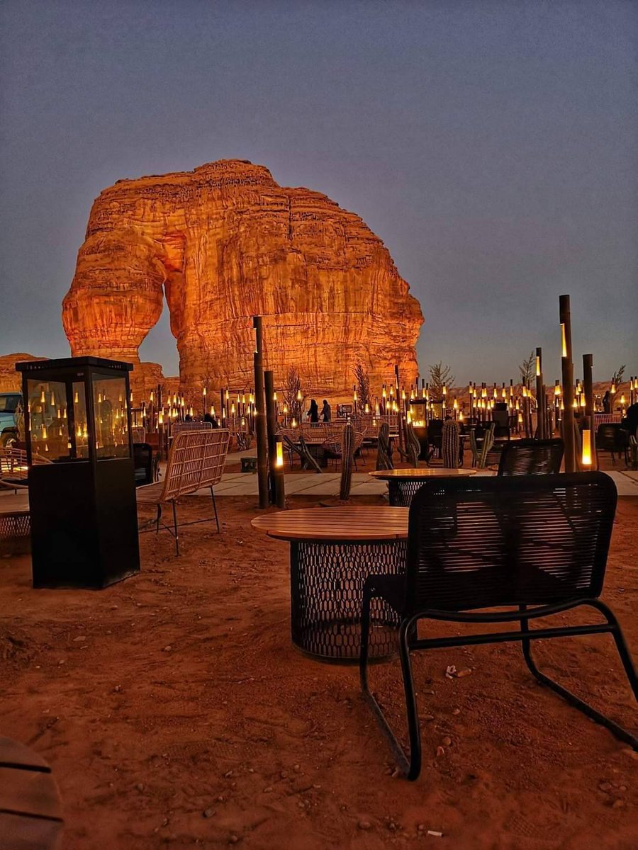 مقهى زهرة الصحراء - كافيهات في الدوحة