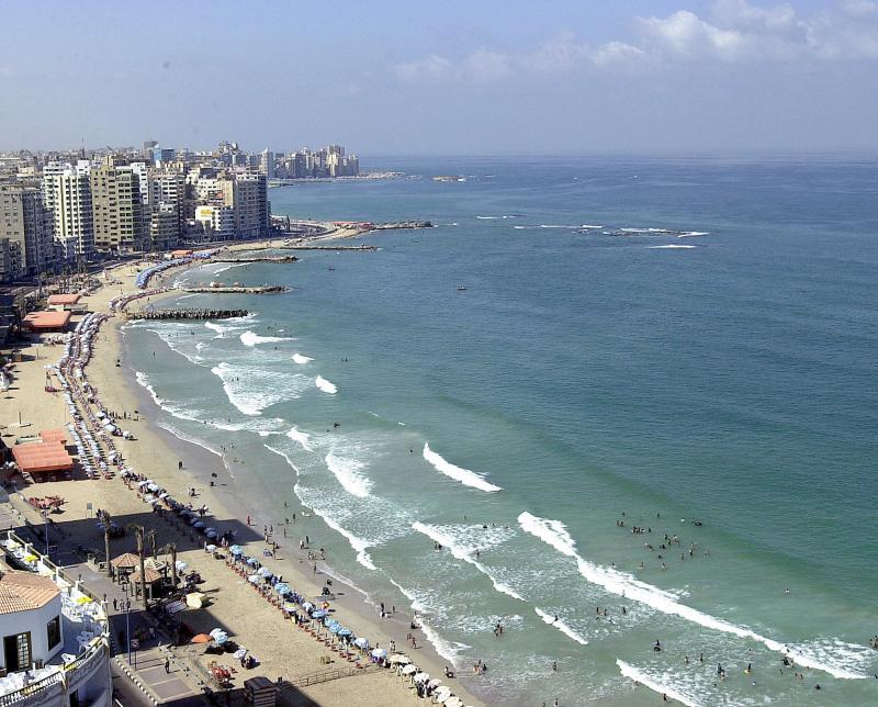مركز النهضة كلين البيطاش - شركات تنظيف في الإسكندرية