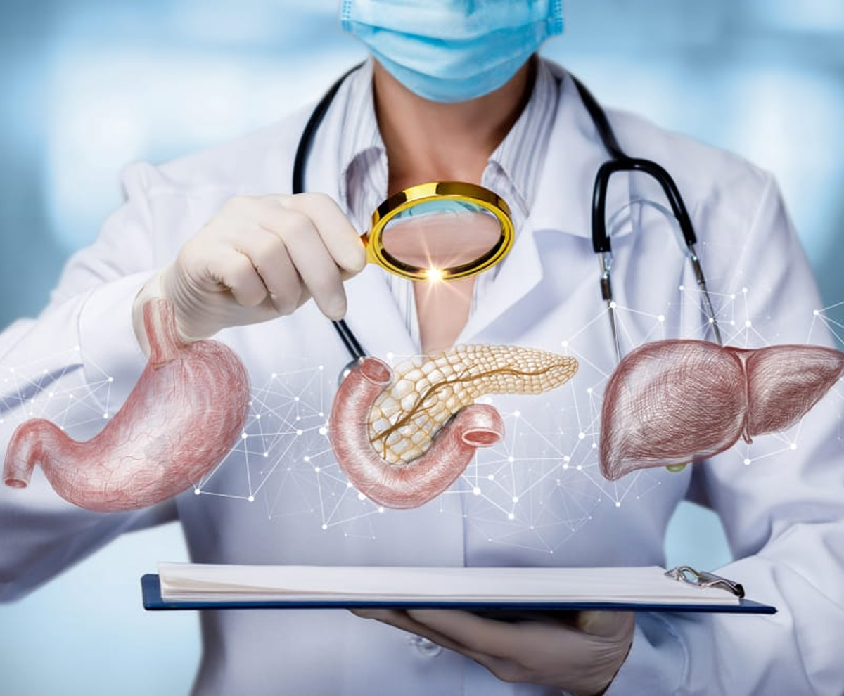 مركز د/بكر النحاس للامراض الباطنيه والقلب ومناظير الجهز الهضمى بأسنا - عيادات في الغربية