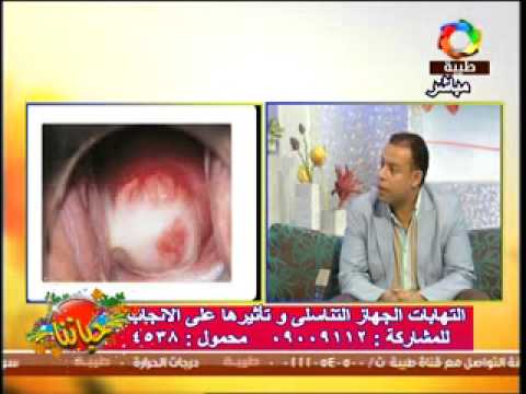 مركز دكتور احمد قناوى نساء وتوليد - مراكز تجميل في أسوان