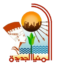 مركز خدمة عادل المنيا الجديدة - شركات تنظيف في المنيا