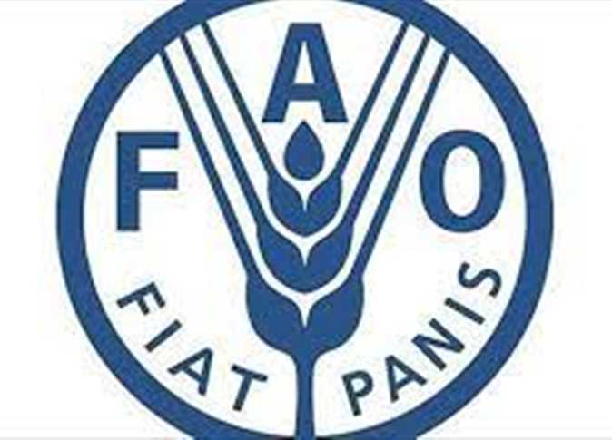 مركز صحي الفاو - مراكز طبية في النجف