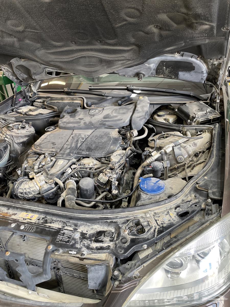 مركز صيانة رينو سايبا بيجو وسانك يونك شركة بلادي - خدمات سيارات في النجف