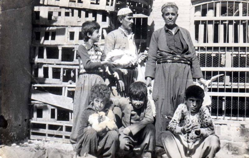 مریشک فرۆشی هەڵەبجە - مطاعم في حلبجة