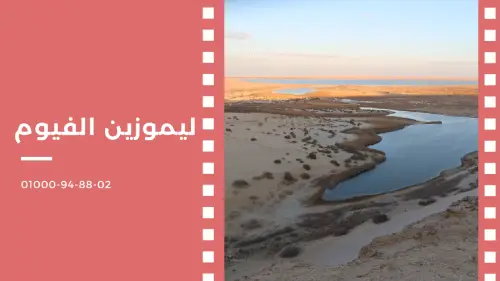 مشوارك علينا ليموزين الفيوم Fayoum Limousine - خدمات السيارات في الفيوم