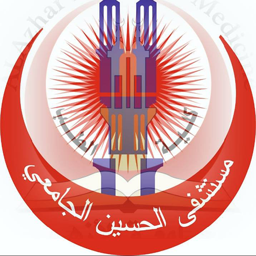 مستشفى الامام الحسين التعليمي - مستشفيات في ذي قار