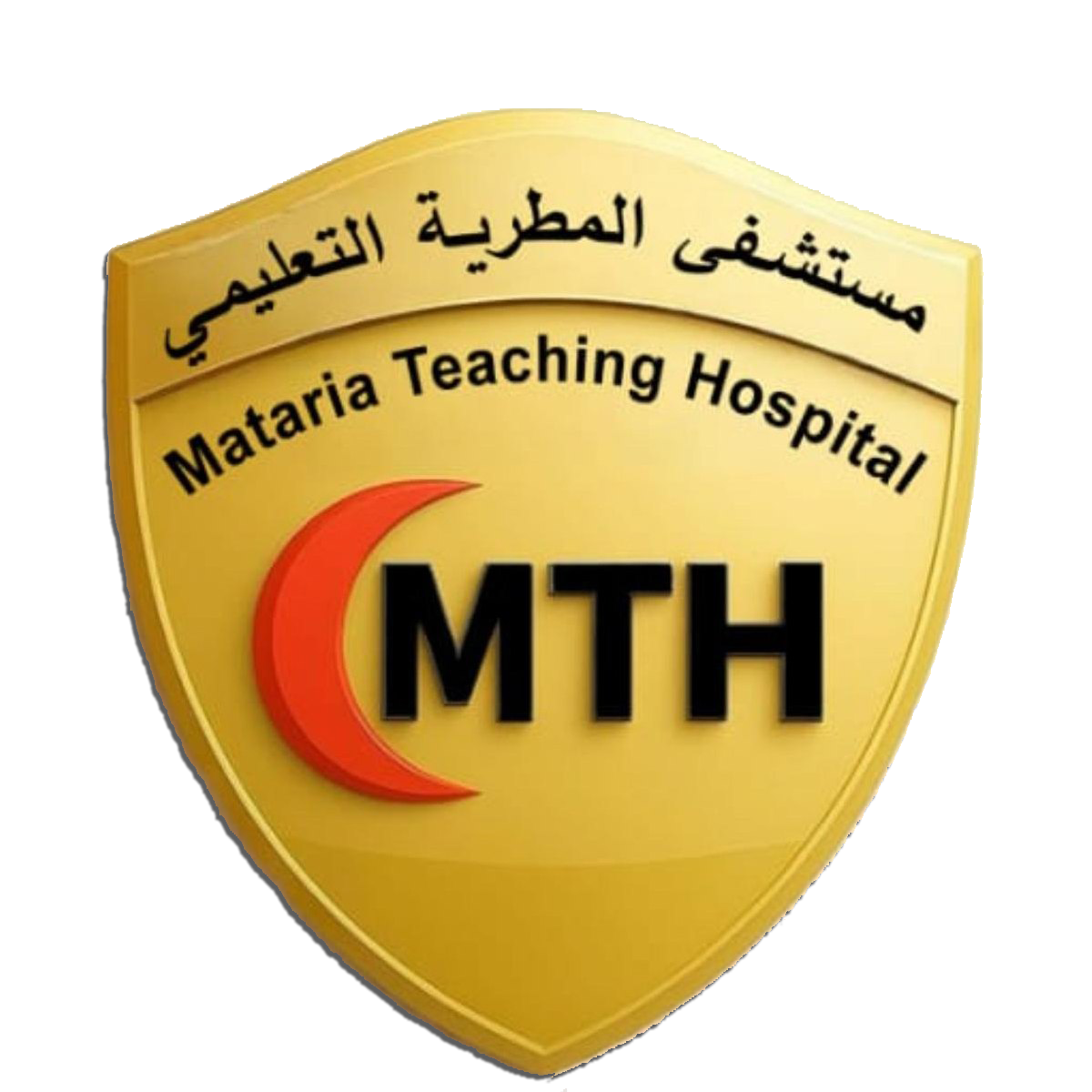 مستشفى الداخلة العام - مستشفيات في الوادي الجديد