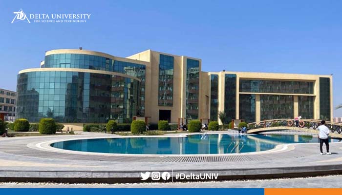 مستشفى الدلتا - مراكز طبية في الدقهلية