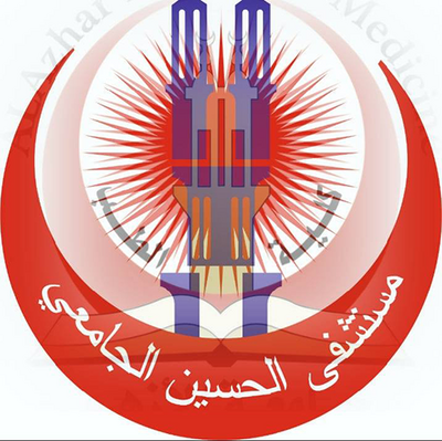 مستشفى الحسين التعليمي - مستشفيات في المثنى