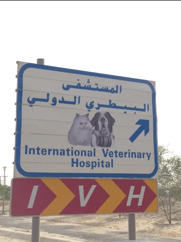 مستشفى بيطري - الوفرة - عيادات في الأحمدي