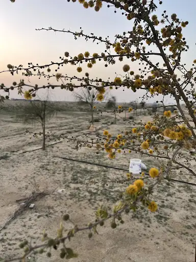 مستشفي بيت الإنماء البيطري بالوفرة - عيادات في الأحمدي