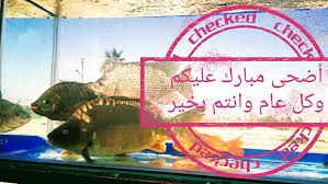 مطعم الناطور للاسماك - مطاعم في البلقاء