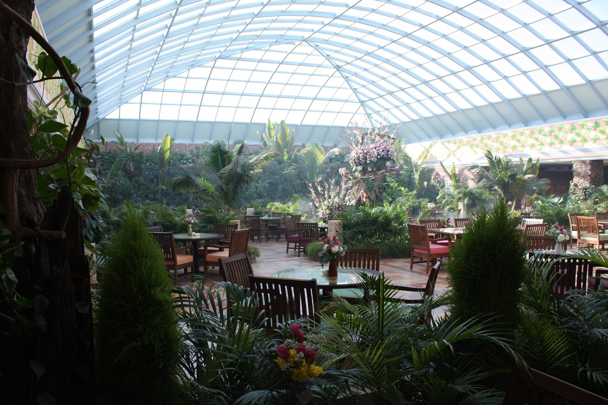 مطعم بابايا - مطاعم في مكة المكرمة