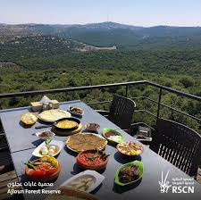 مطعم برية البلوط - مطاعم في عجلون