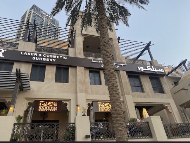 مطعم دبي سرجون - مطاعم في دبي