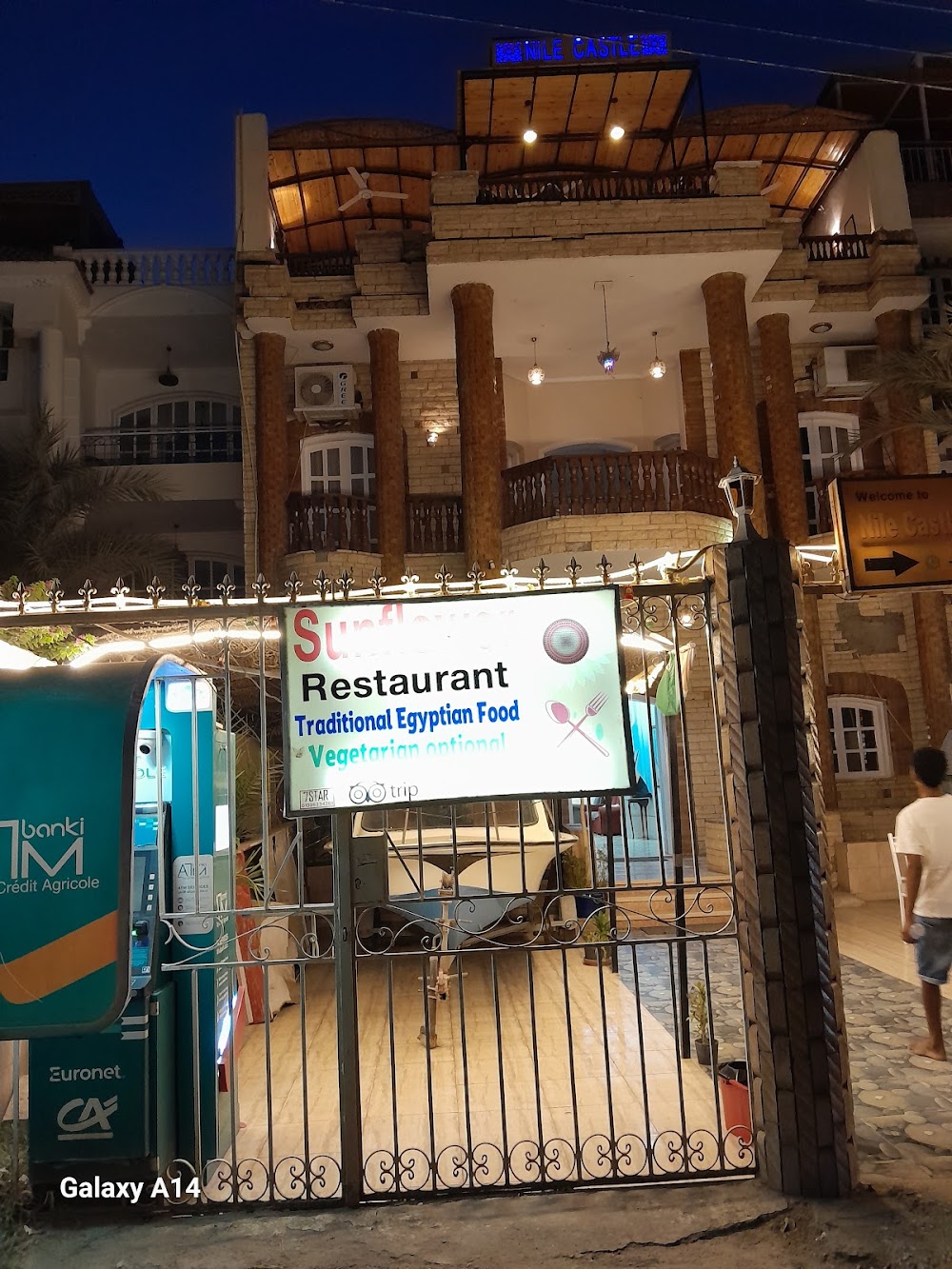 مطعم دوار الشمس Sunflower Restaurant - مطاعم في الأقصر