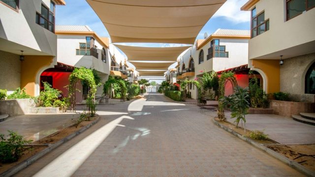 مطعم ديار الشام فرع الطوار 1 - حلويات في الشارقة