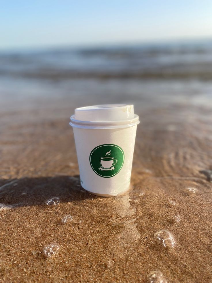 مطعم كافتيريا الشاطئ - مطاعم في المنيا