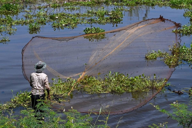 مطعم ميكونغ - مطاعم في ظفار