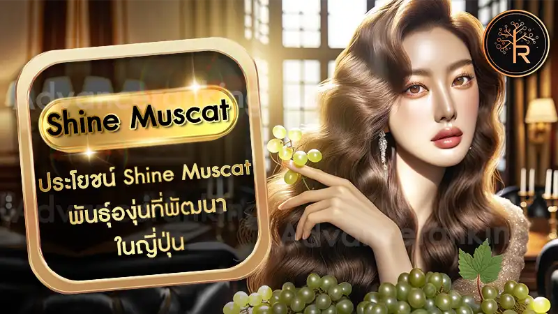 muscat shine clean - شركات تنظيف في مسقط