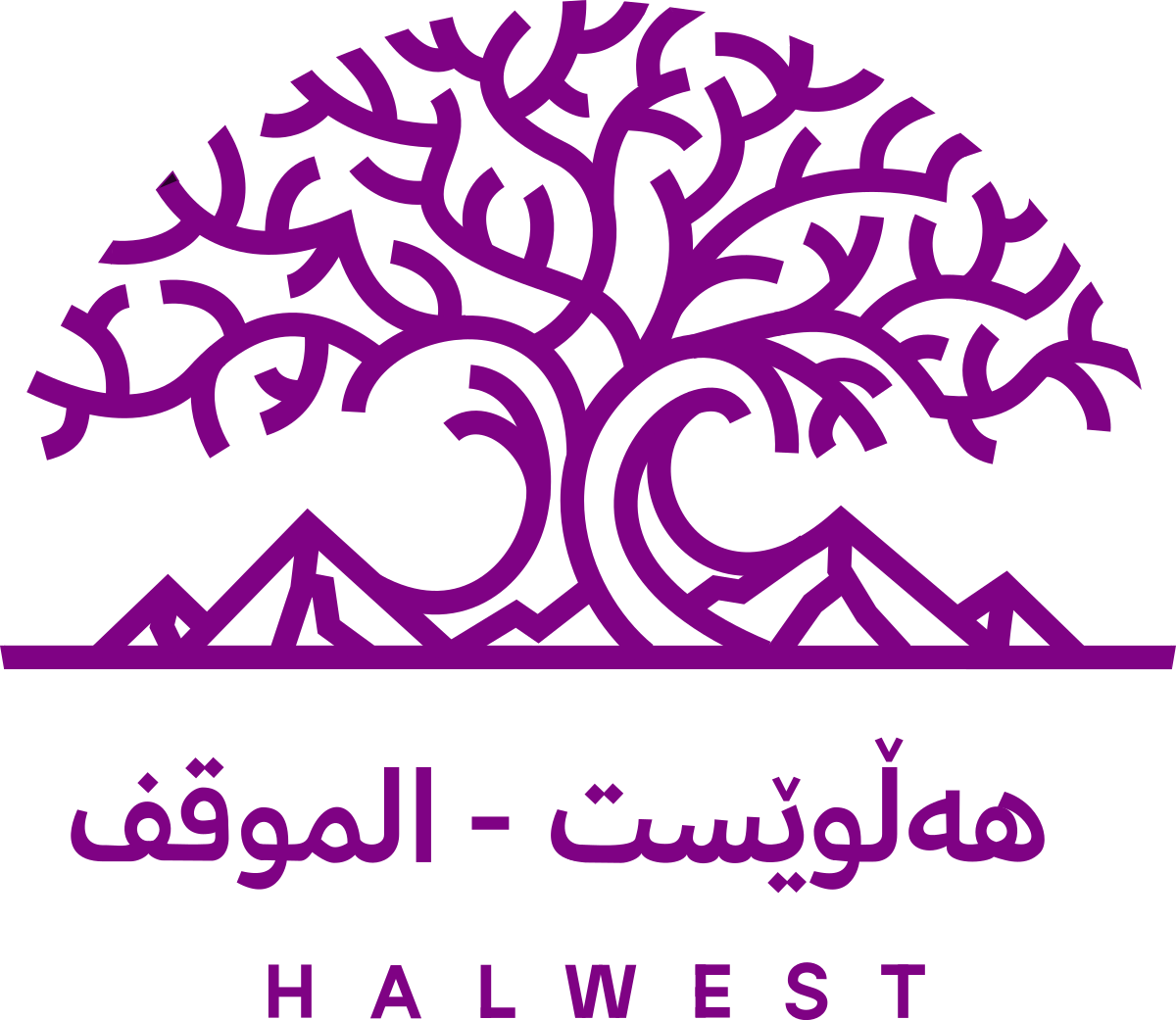 موقف دراو - خدمات سيارات في أسوان