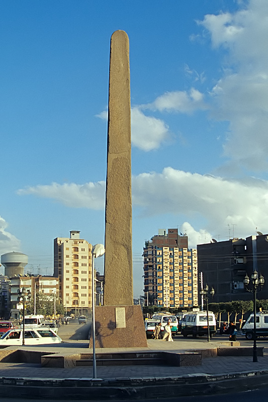 ميدان المسلة - زراعة الشعر في الفيوم