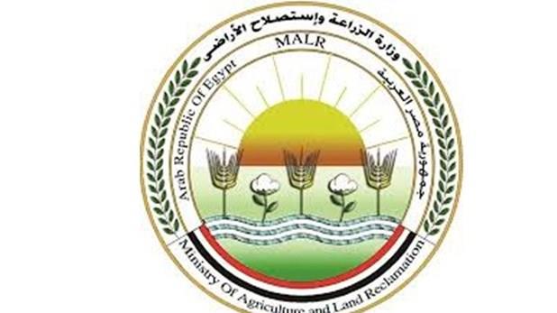 نادى الاصلاح الزراعي - زراعة الشعر في قنا