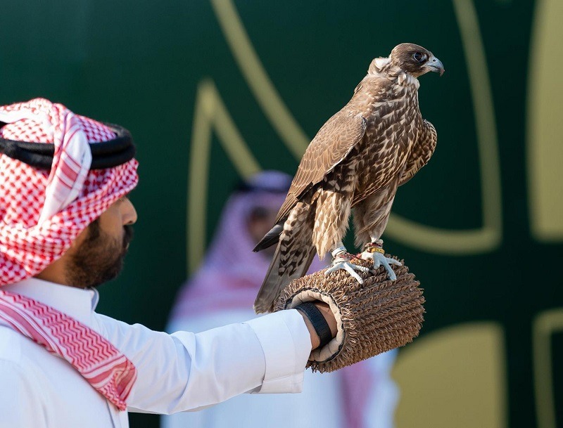 نادي الصدور الرياضي نزارالفيصل الجبوري عضو الهيئة الادارية - صالات رياضية في ديالى