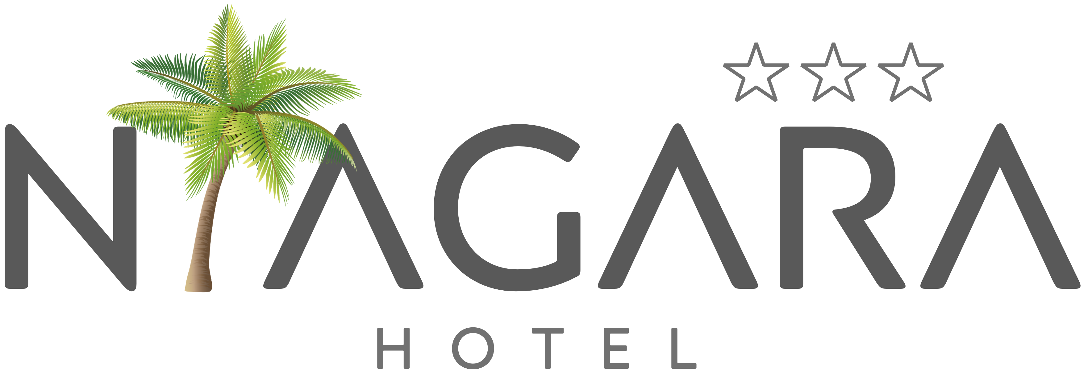 Niagara Hotel - فندق نياكارا - فنادق في أربيل
