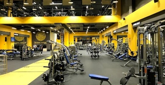 نجمة تورنتو لكمال الأجسام - صالات رياضية في عجمان