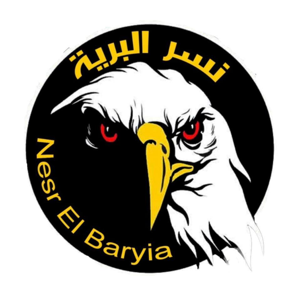 نسر البرية للبطاريات ببورسعيد - خدمات سيارات في بورسعيد