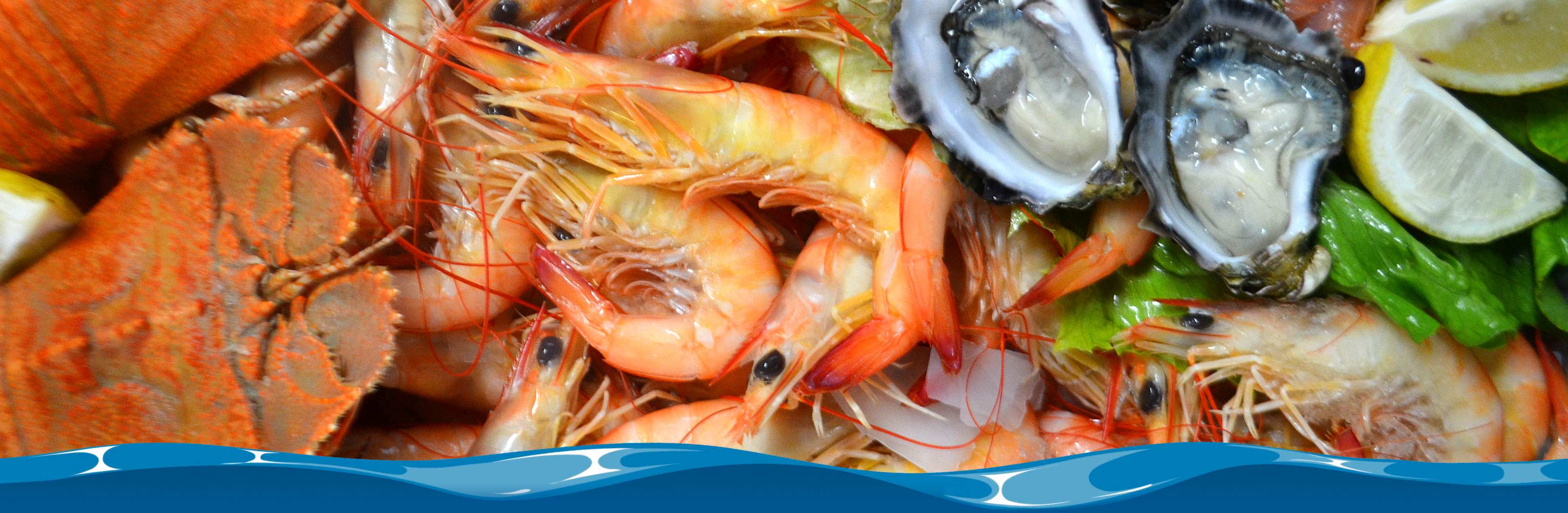 Ocean world seafood restaurant مطعم عالم المحيط للمأكولات البحرية - مطاعم في الحدود الشمالية