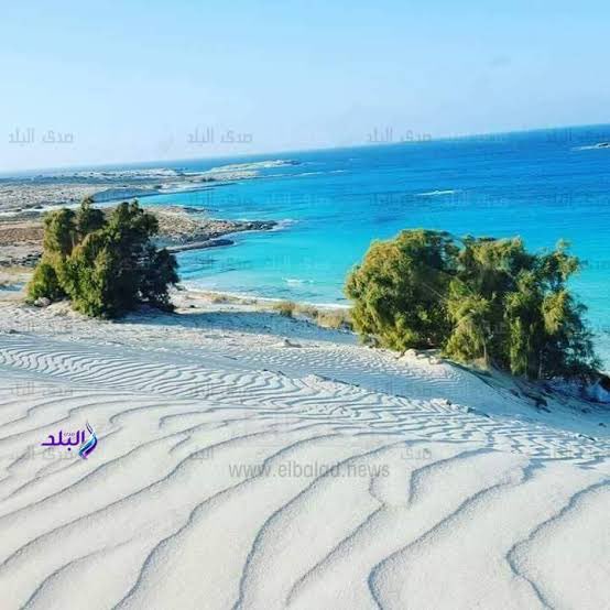 On Gym - صالات رياضية في مرسى مطروح