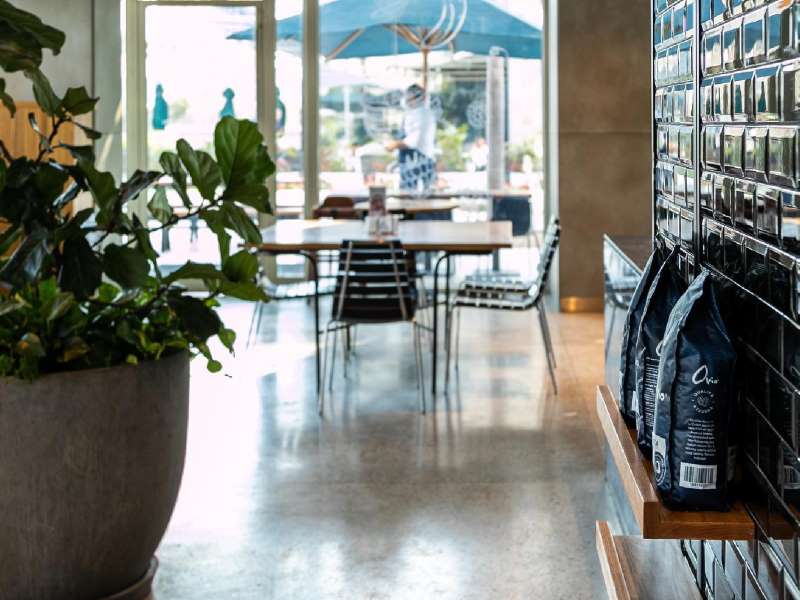 Ovio - مطاعم في المنيا