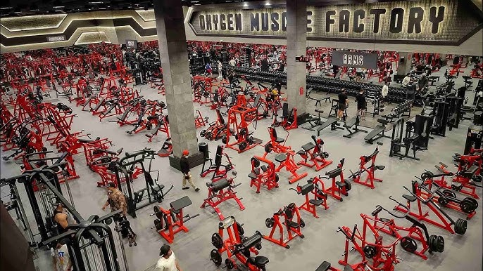 oxygen gym - صالات رياضية في البحر الأحمر