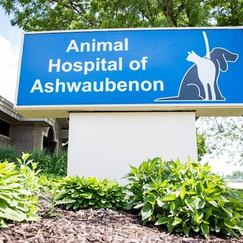 Pet Clinic Aswan - عيادات في أسوان