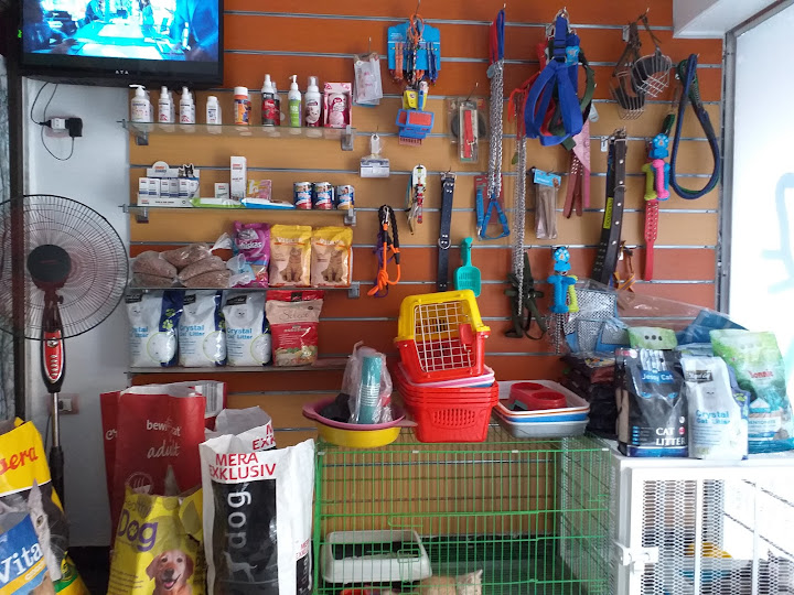 Portfouad veterinary clinic عيادة بورفؤاد البيطريه - عيادات في بورسعيد