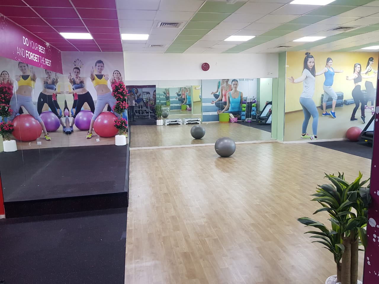 Powerhouse Gym and Swimming Academy | Best Gym in Sharjah - صالات رياضية في الشارقة