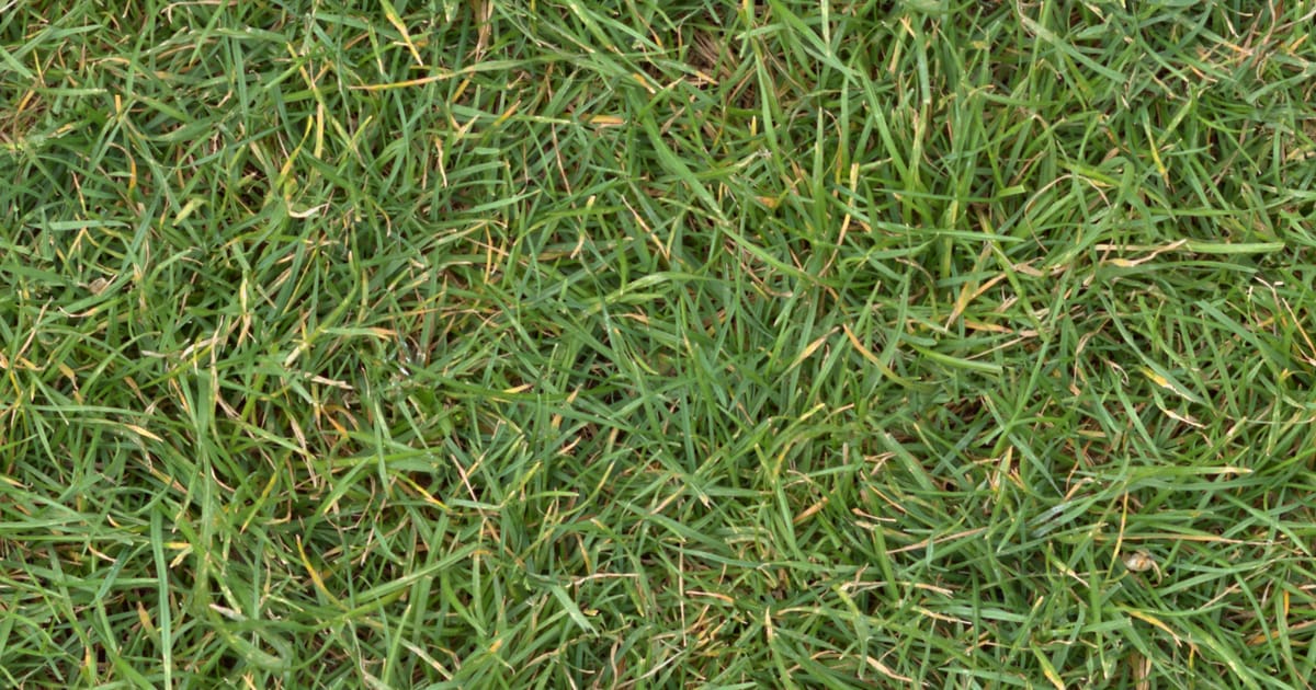 Primavera Dry Cleaning - Arabian Ranches - شركات تنظيف في دبي