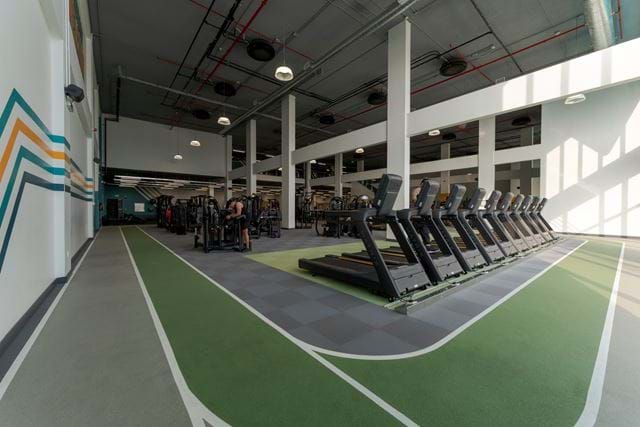 PureGym Man Khobar Golden Belt | بيورجيم للرجال الحزام الذهبي في الخبر - صالات رياضية في جابر الأحمد