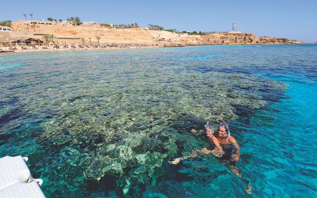 Reef Beach - مطاعم في شرم الشيخ