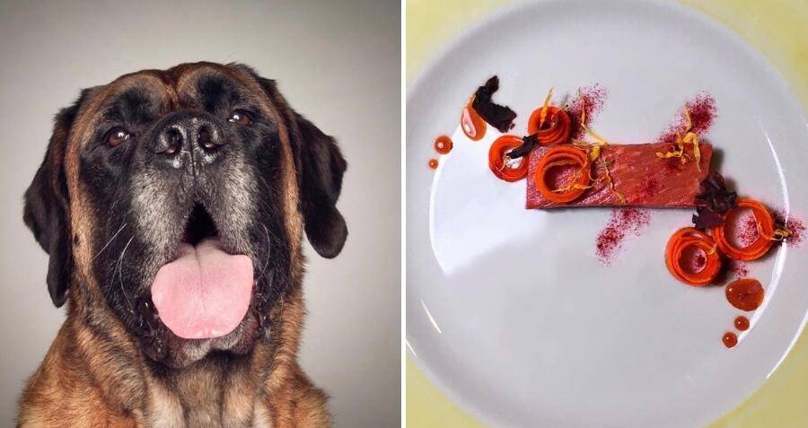 Restaurant San - مطاعم في حلبجة