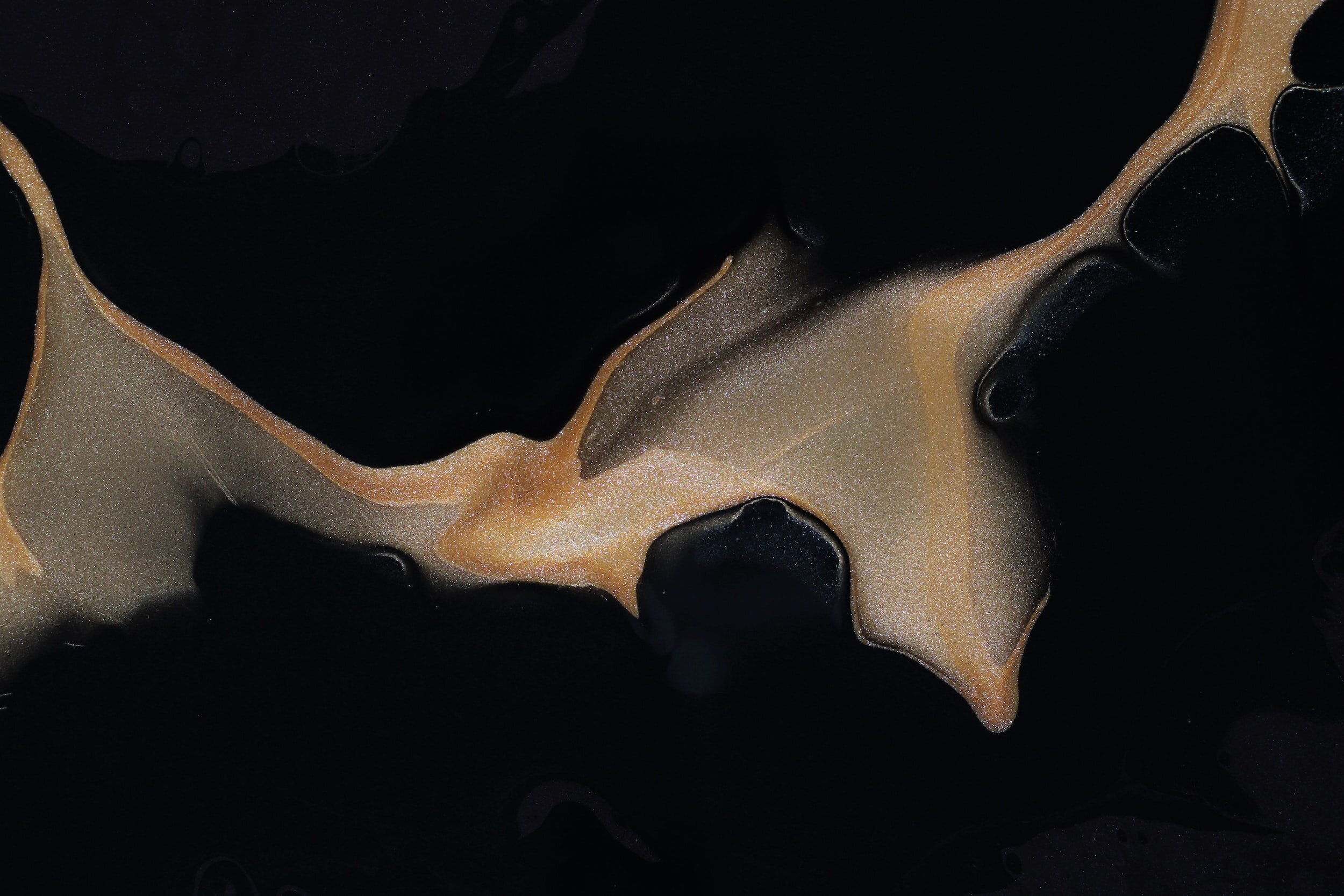 Royal Beauty Lounge | Best beauty salon in Qatar - صالونات تجميل في الريان