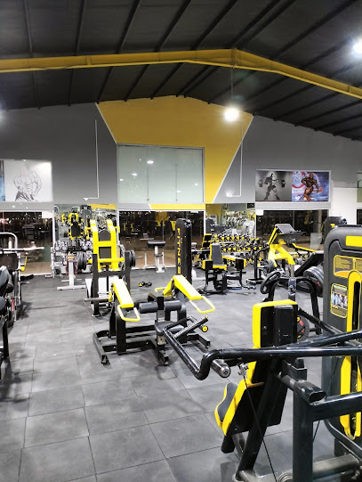 صالة ابطال الوجه الرياضية - صالات رياضية في الوجه