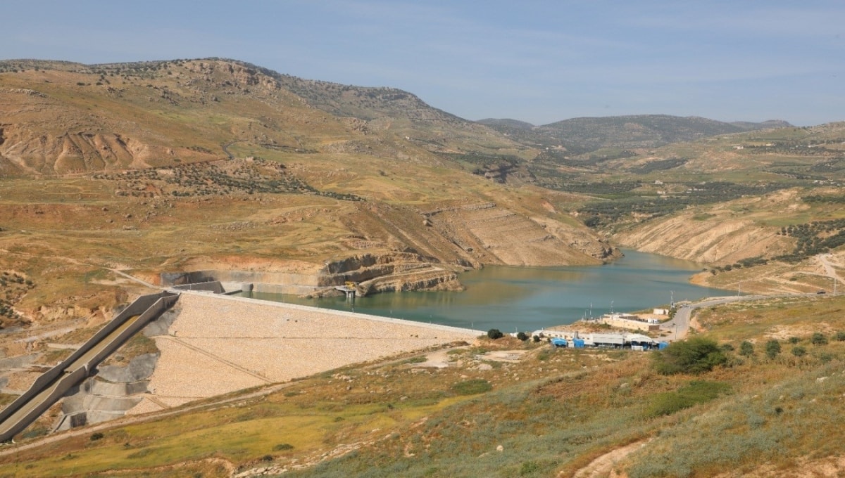 سد كفرنجه - زراعة الشعر في عجلون