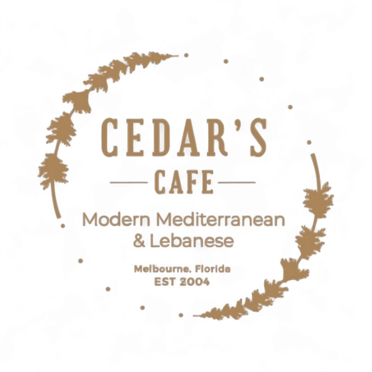 SEDAR cafe - كافيهات في دمياط