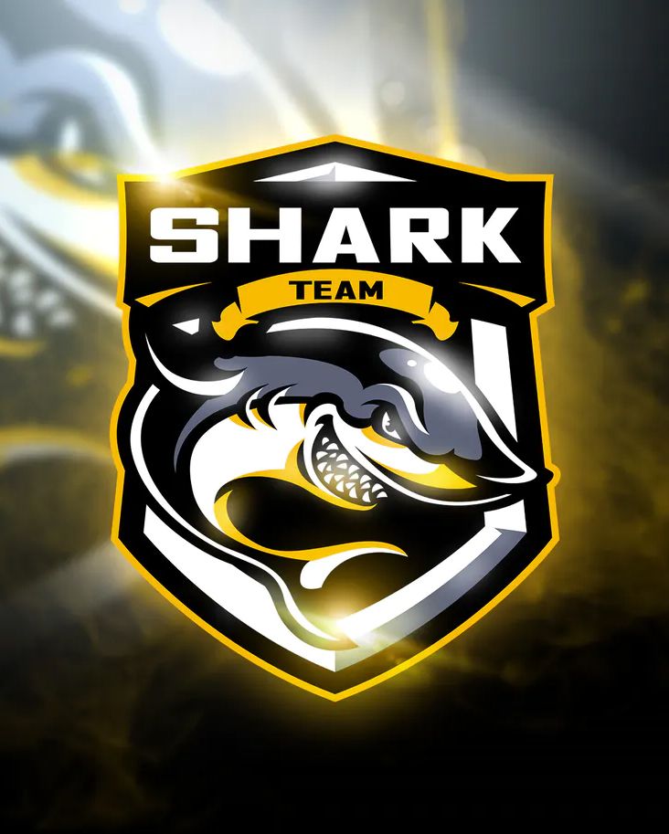 SHARK Team - صالات رياضية في السويس
