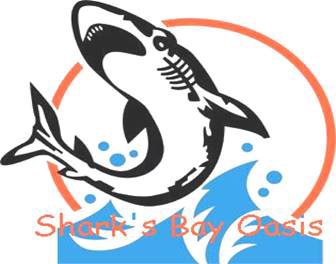 شاركس باي أواسيس - شركات تنظيف في جنوب سيناء